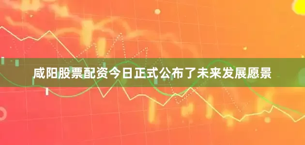 咸阳股票配资今日正式公布了未来发展愿景