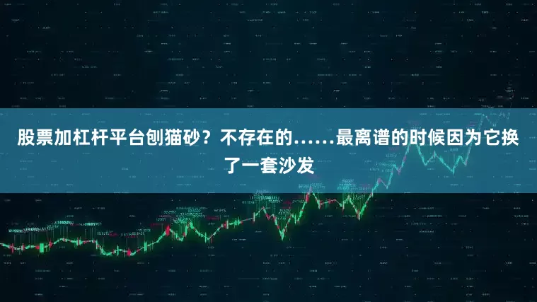 股票加杠杆平台刨猫砂？不存在的……最离谱的时候因为它换了一套沙发