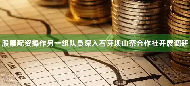 股票配资操作另一组队员深入石芽坝山茶合作社开展调研