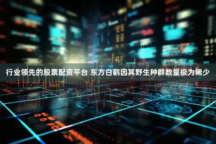 行业领先的股票配资平台 东方白鹳因其野生种群数量极为稀少