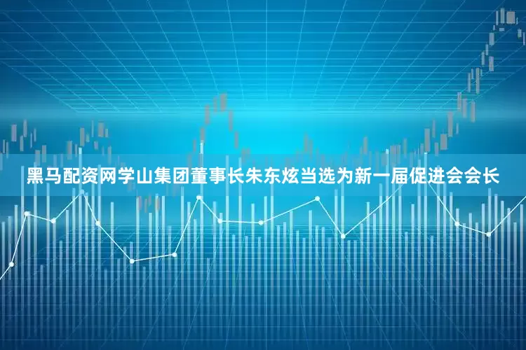 黑马配资网学山集团董事长朱东炫当选为新一届促进会会长