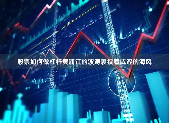 股票如何做杠杆黄浦江的波涛裹挟着咸涩的海风